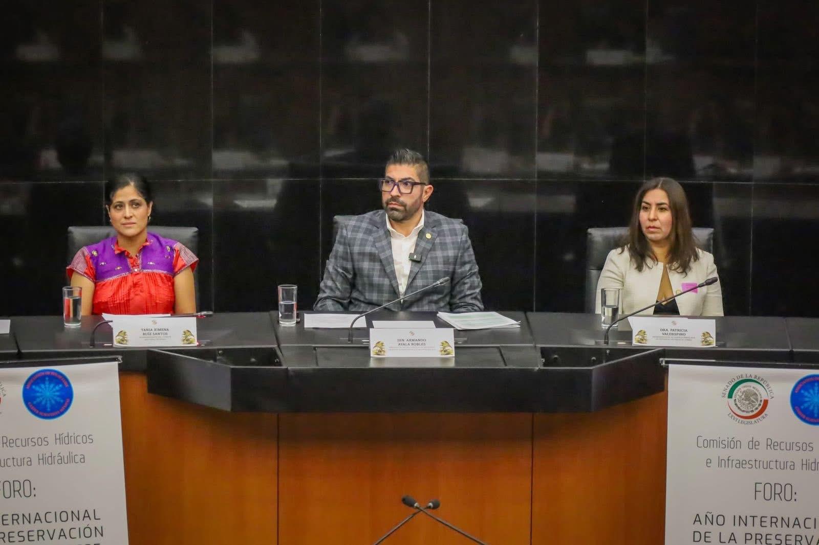 Senado alza la voz por los glaciares el senador Armando Ayala Robles advierte sobre crisis hídrica y climática